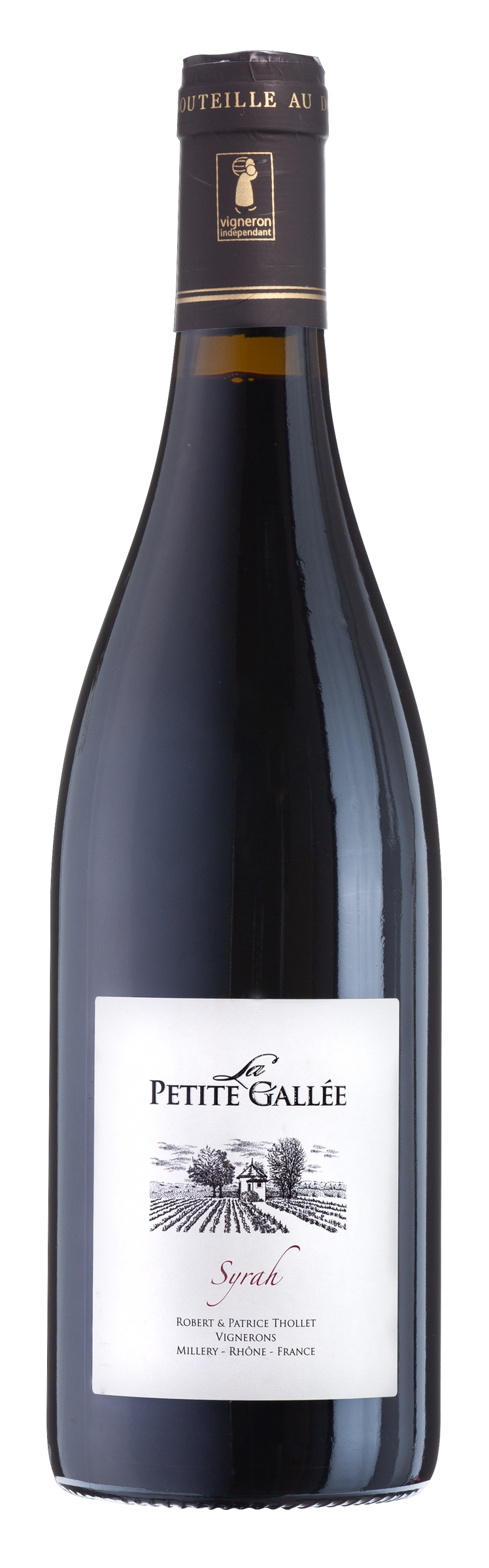 Syrah rouge