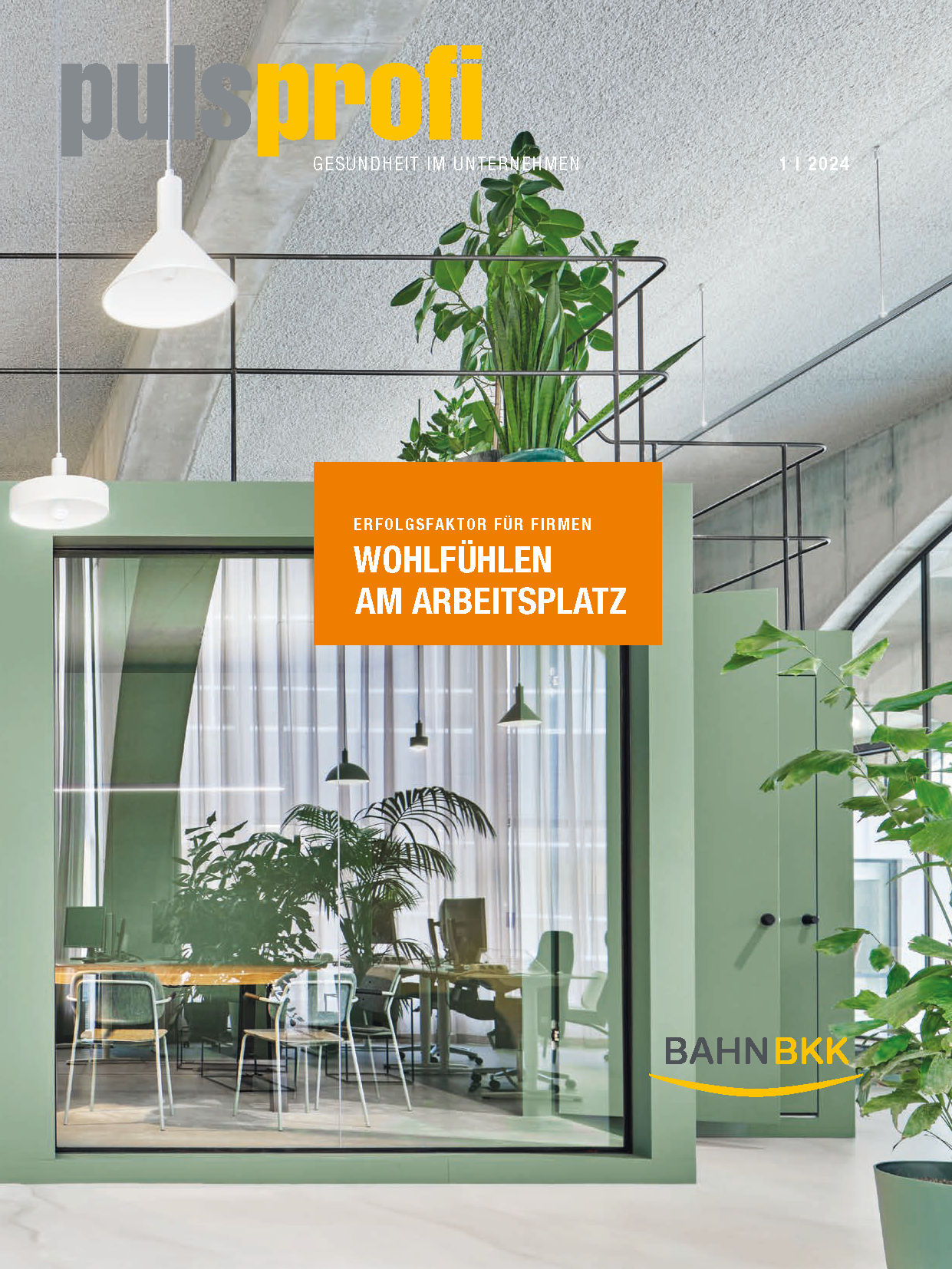 BAHN-BKK|pulsprofi Ausgabe 2|2024