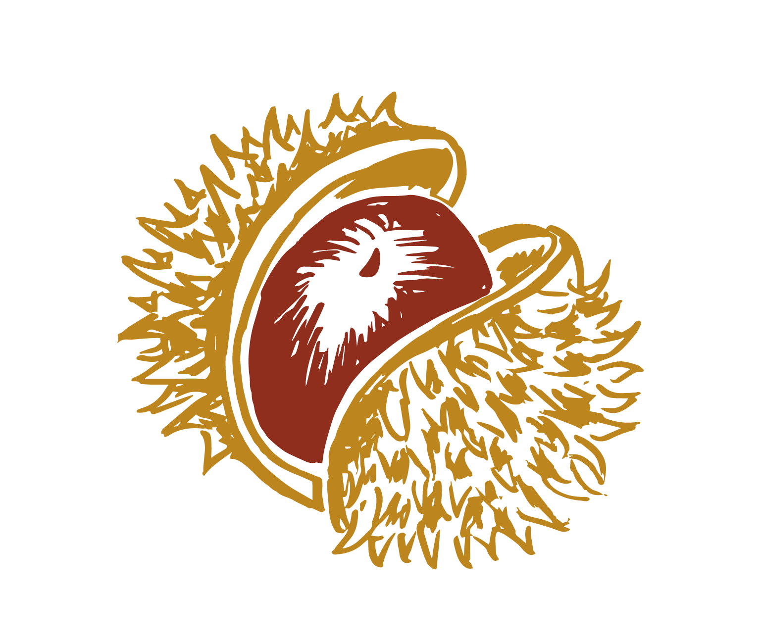 Kastanien Illustration