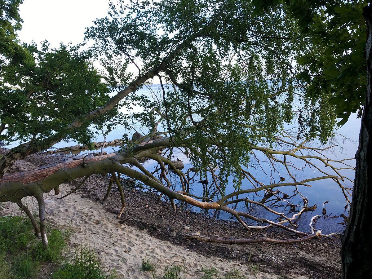 Bodden und Selliner See
