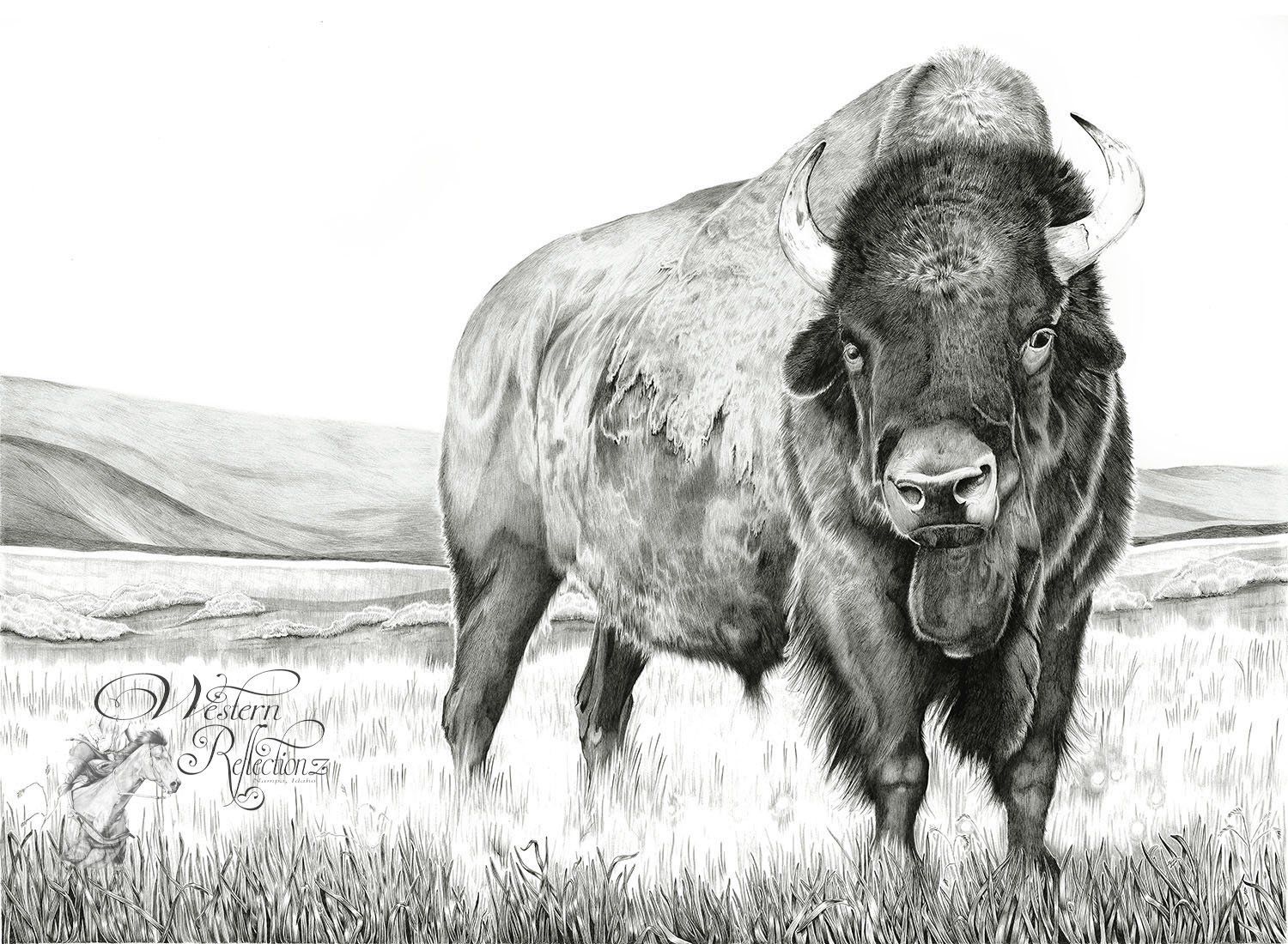 American Bison Buffalo black and white ballpoint