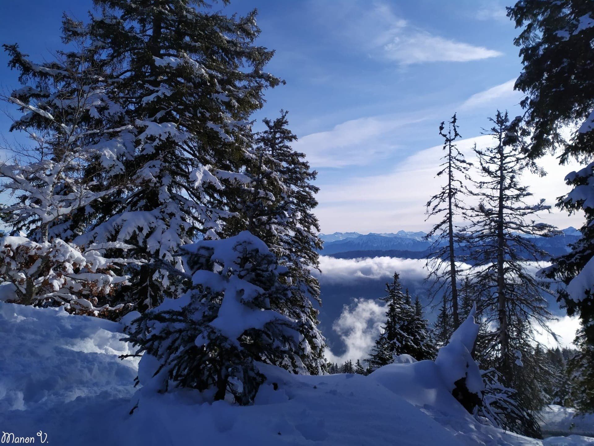 Vue depuis le Semnoz (74) Vue depuis le Semnoz (74)