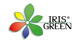 IRIS GREEN