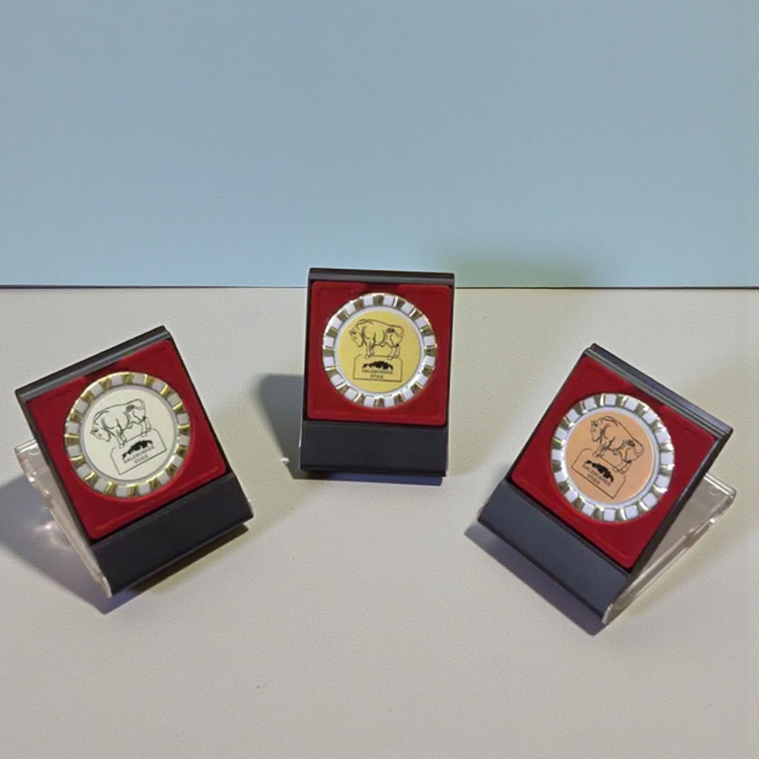 Edle Medaillen
in einer klappbaren Präsentationskassette – als eleganter Aufsteller oder sicher verschlossen zur Übergabe.