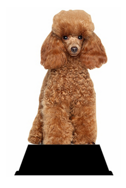 bedruckte Holztrophäe