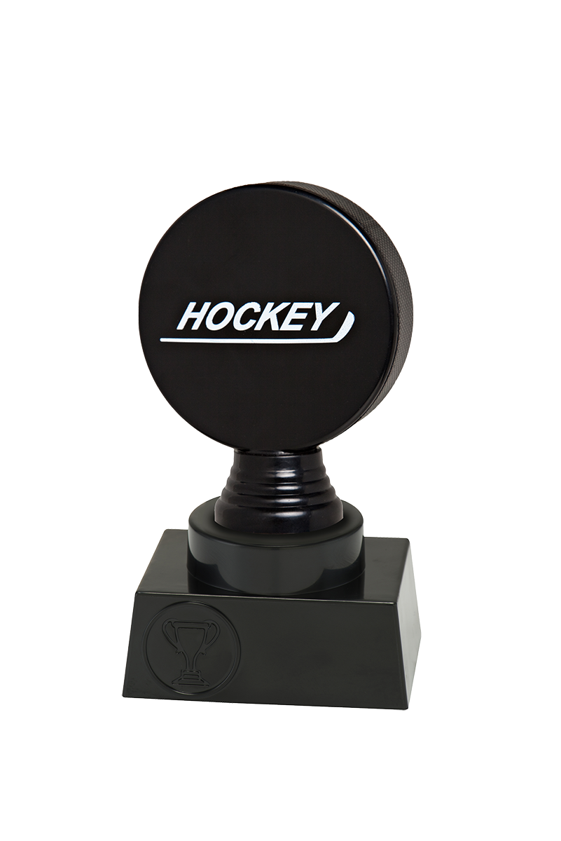 Eishockeypuck
