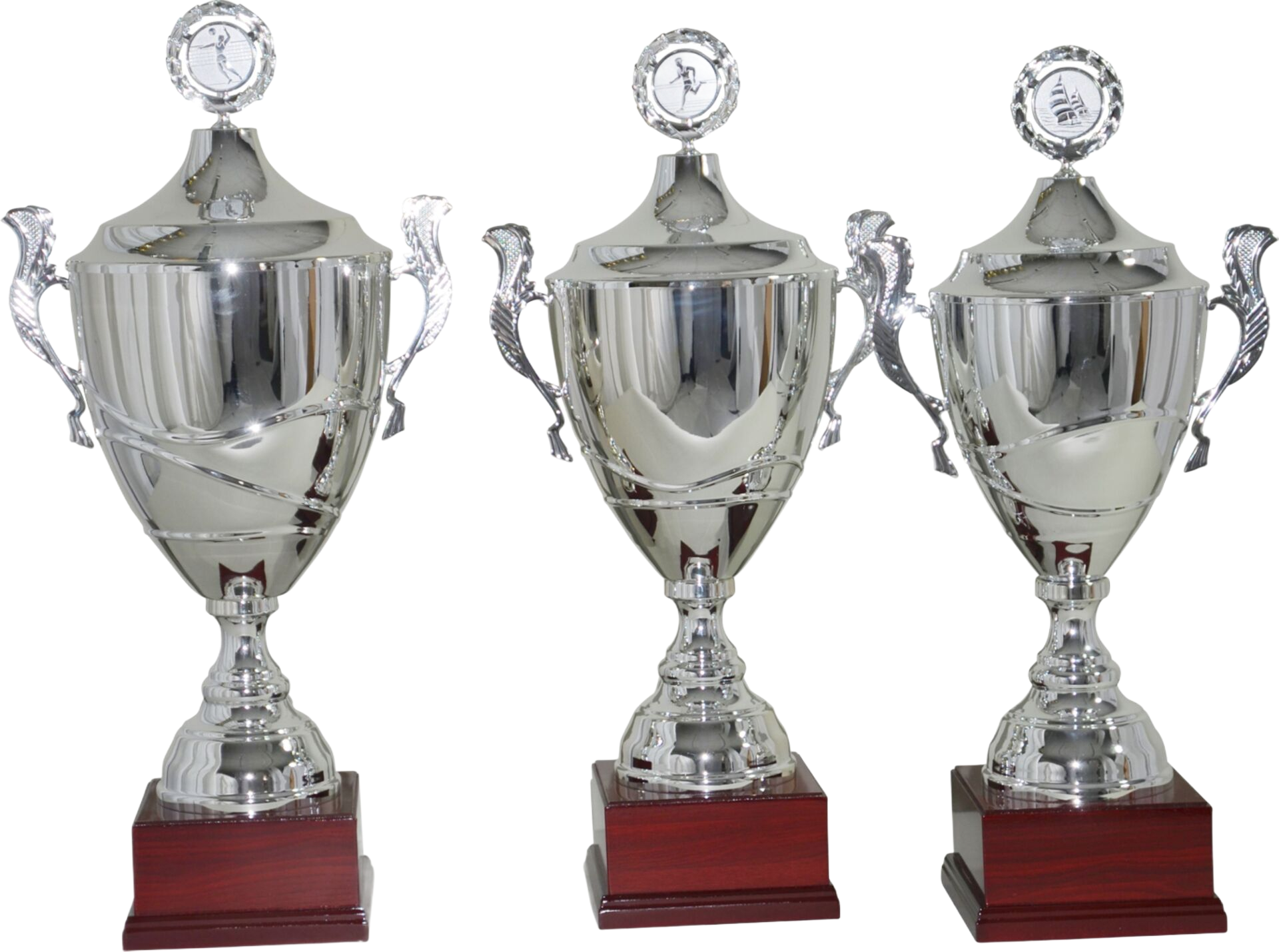 Silberner Wanderpokal auf Holzsockel