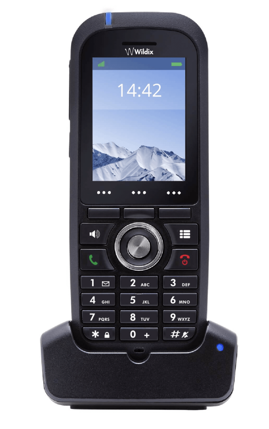 poste dect professionel