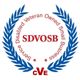 Service-Disabled Veteran-Owned Small Businesses