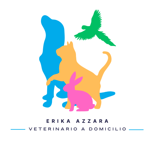 erika azzara veterinario san donà di piave
