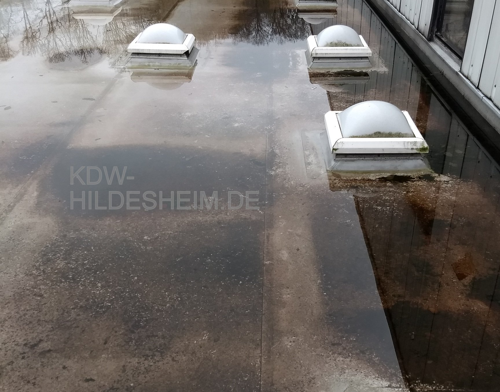 Hallen-Dach-Flachdach-Reinigung