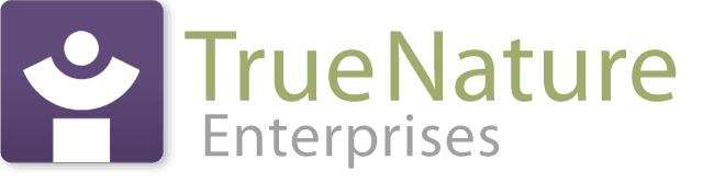 True Nature Enterprises - Mindfulness practices for everyday business