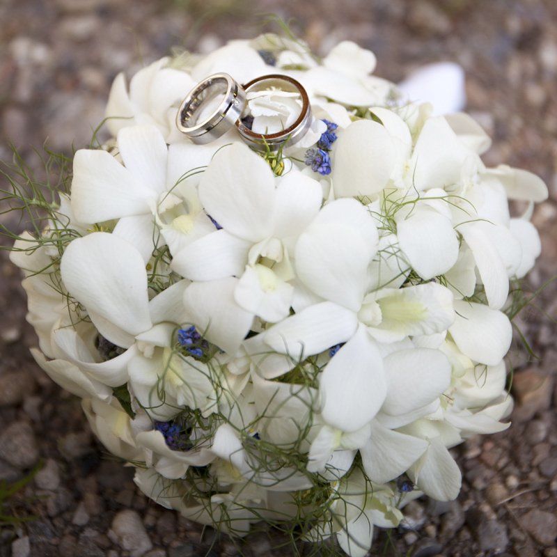 Hochzeitsfotografie Kiel, Hochzeitsfotograf Kiel, Hochzeitsfotograf Schleswig-Holstein, Brautpaarfotoshooting, Trauung Kiel, Hochzeit Kiel, Standesamt Kiel, Hochzeitstag Kiel, Brautpaar Kiel, standesamtliche Trauung, kirchliche Trauung