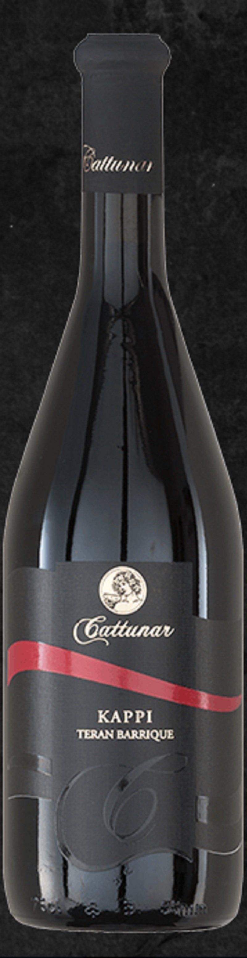 Cattunar Teran Kappi Cattunar Teran Kappi