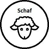 Schaf Schaf