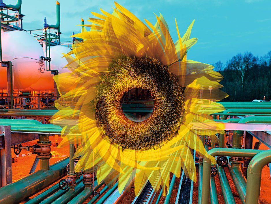 Sonnenblume Industrie