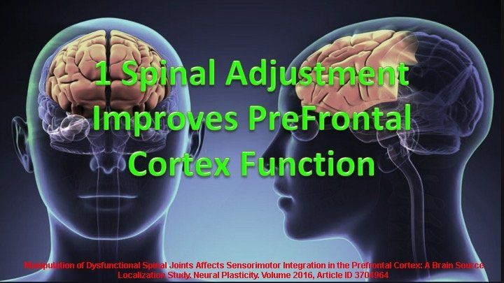 spinal manipulation helps brain