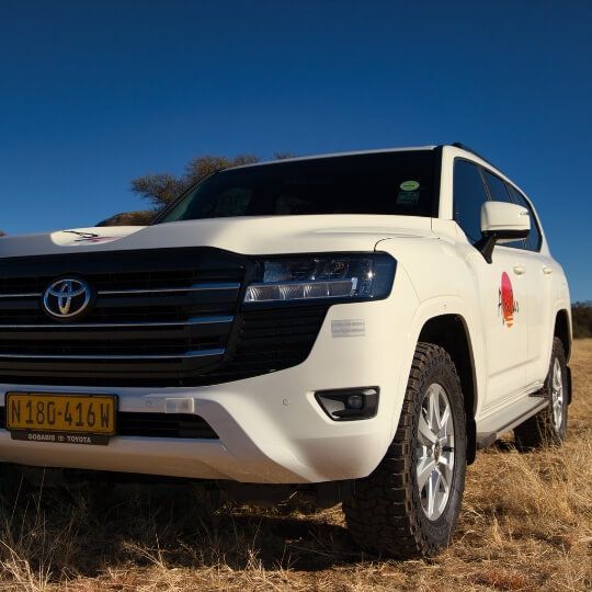 Toyota Land Cruiser 300 GX-R