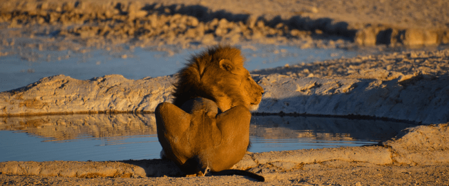 Etosha National Park