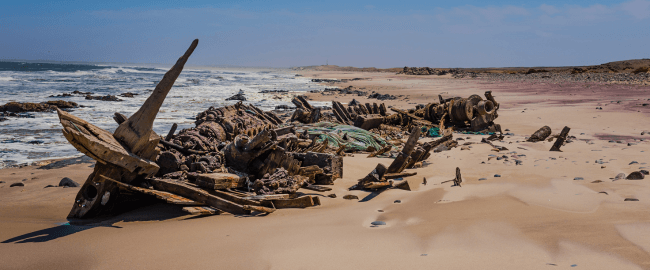 Skeleton Coast