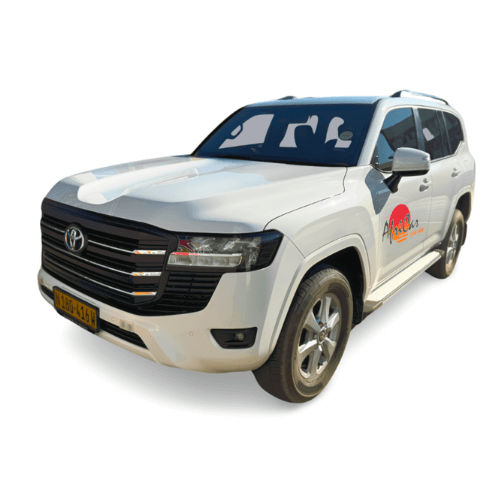 Toyota Land Cruiser 300 GX-R Automatic
