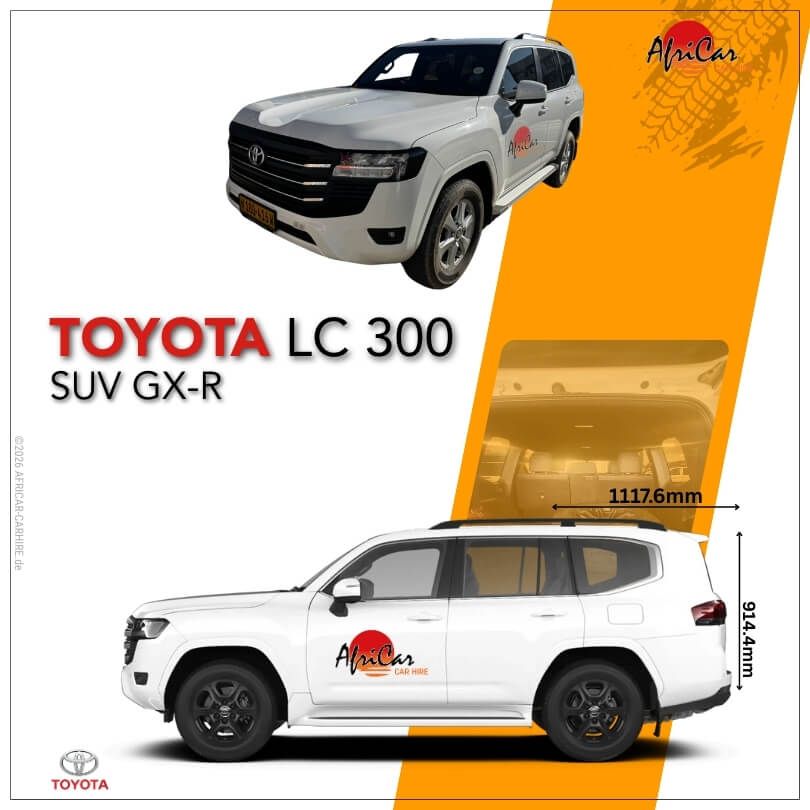 Dimensions Toyota Land Cruiser 300 GX-R
