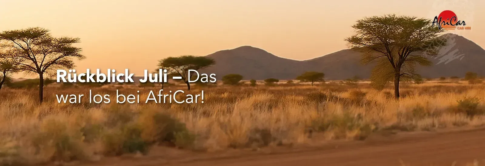 Toyota Land Cruiser 300 VX