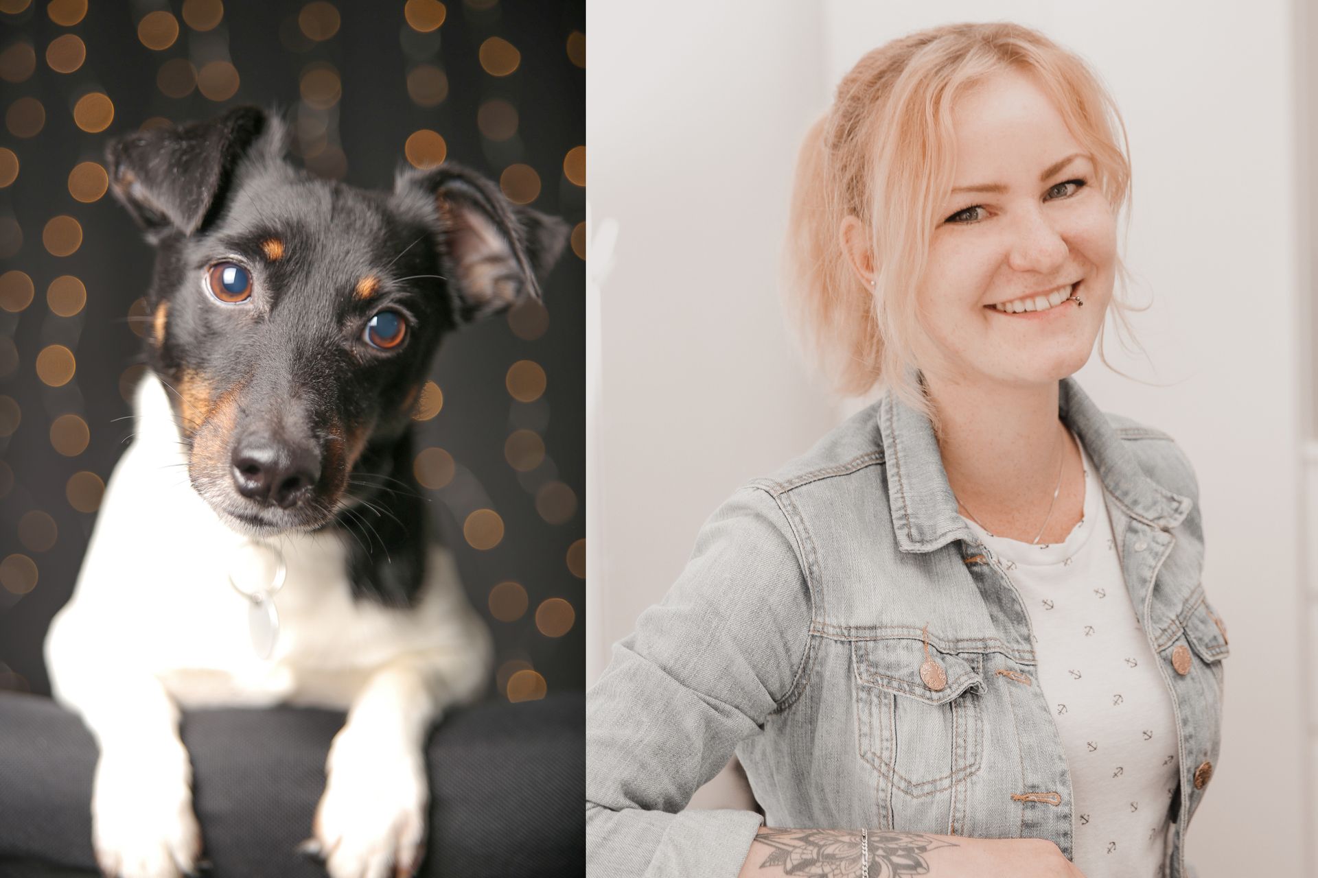 Hund und Eigentümerin Das Bild ist zweigeteilt und zeigt links einen Jack Russel Terrier Hund, der die Pfoten über eine schwarze Sessel-Lehne gelegt hat. Er hat kleine Braune Flecken an den Wangen und über den Augenbrauen, ansonsten ist der Kopf schwarz und der Rest des Körpers weiß. Der Hintergrund ist schwarz mit vielen kleinen, unscharfen Licktpunkten in einem warmen Goldton.
Rechts ist ein Portrait einer lächelnden, jungen Frau mit blondem haar zu sehen, sie lehnt sich mit dem Arm irgendwo auf. Sie hat blondes Haar, zu einem Zopf gebunden, einen Pony, ein Lippenpiercing und trägt eine Jeansjacke über einem weißen Oberteil mit schwarzen Punkten. Am arm ist ein Tattoo zu sehen