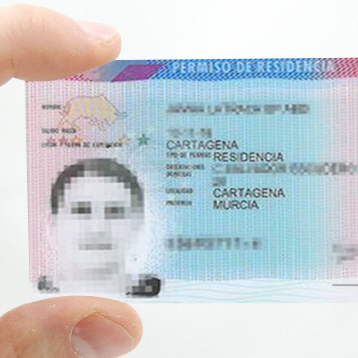 Carnet Español