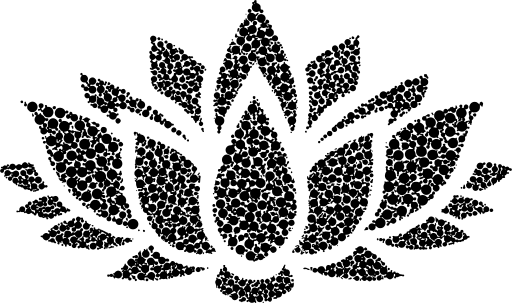 die Blüte des Lotos