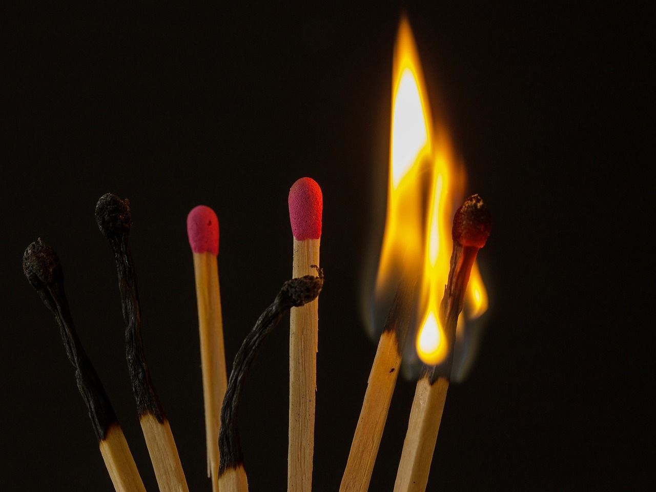 burnout_author