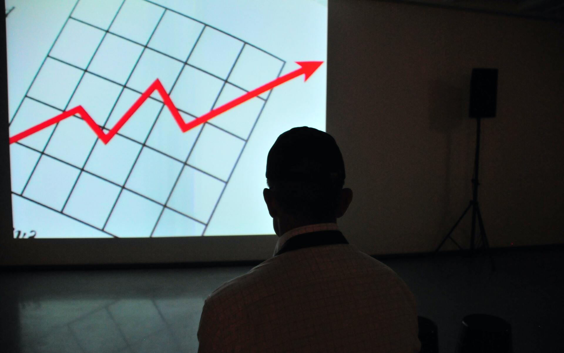 Tech company: from start-up to growth