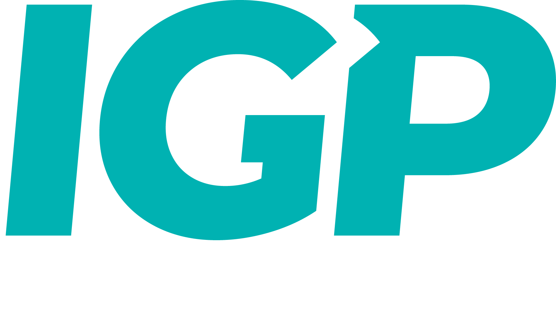 IGP Chemie Logo Footer