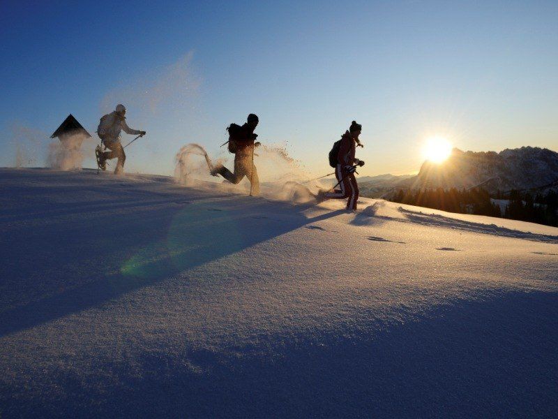 Ferienwohnung Reit im Winkl Kaiserblick / Almblick