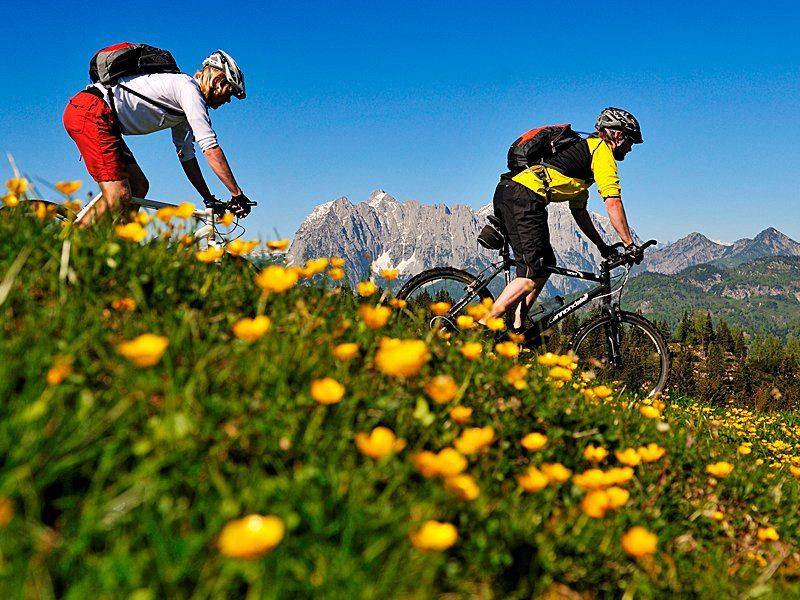 Ferienwohnung Kaiserblick Almblick Reit im Winkl Ski Urlaub