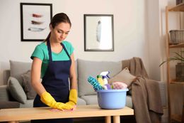 ménage, nettoyage & entretien de la maison