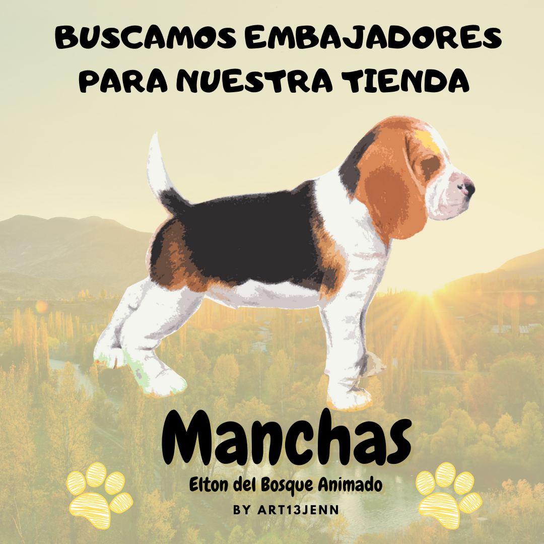 Embajadores y Modelos