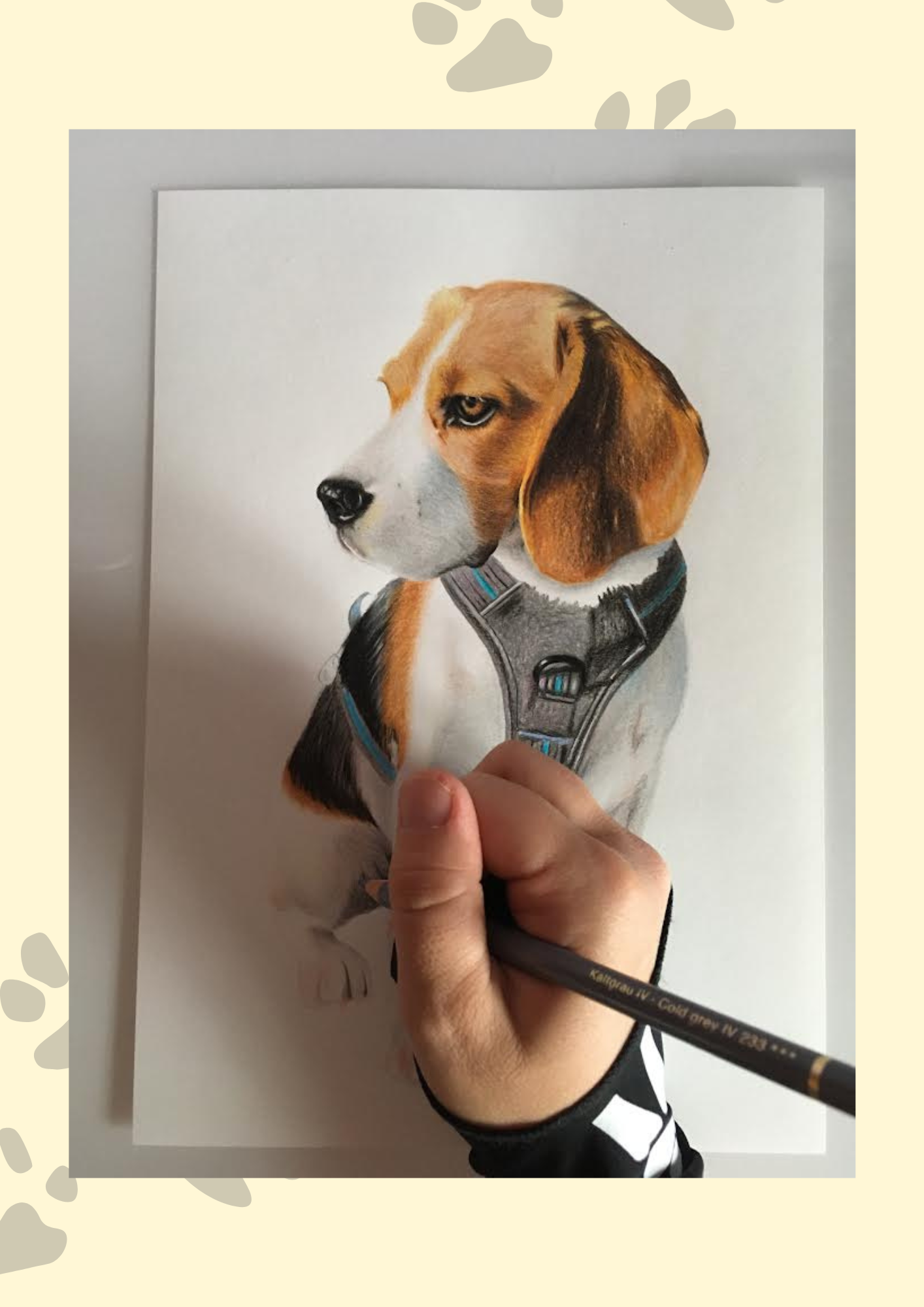 Wifi, nuestra modelo