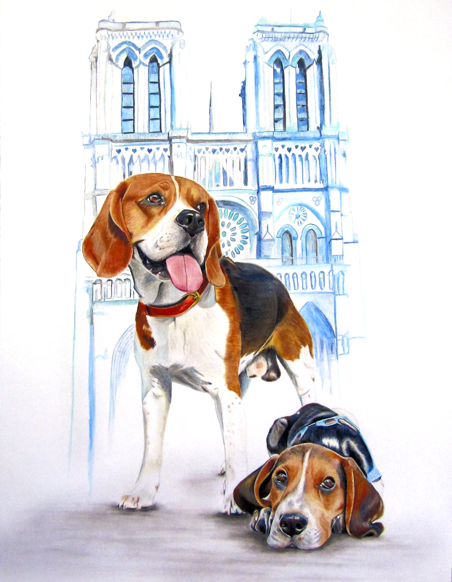 Retrato de MJ y Will, dos preciosos Beagles franceses Retrato de Beagles, MJ ( papa ) y Will ( Hijo ) de fondo La Catedral de Notre Dame
