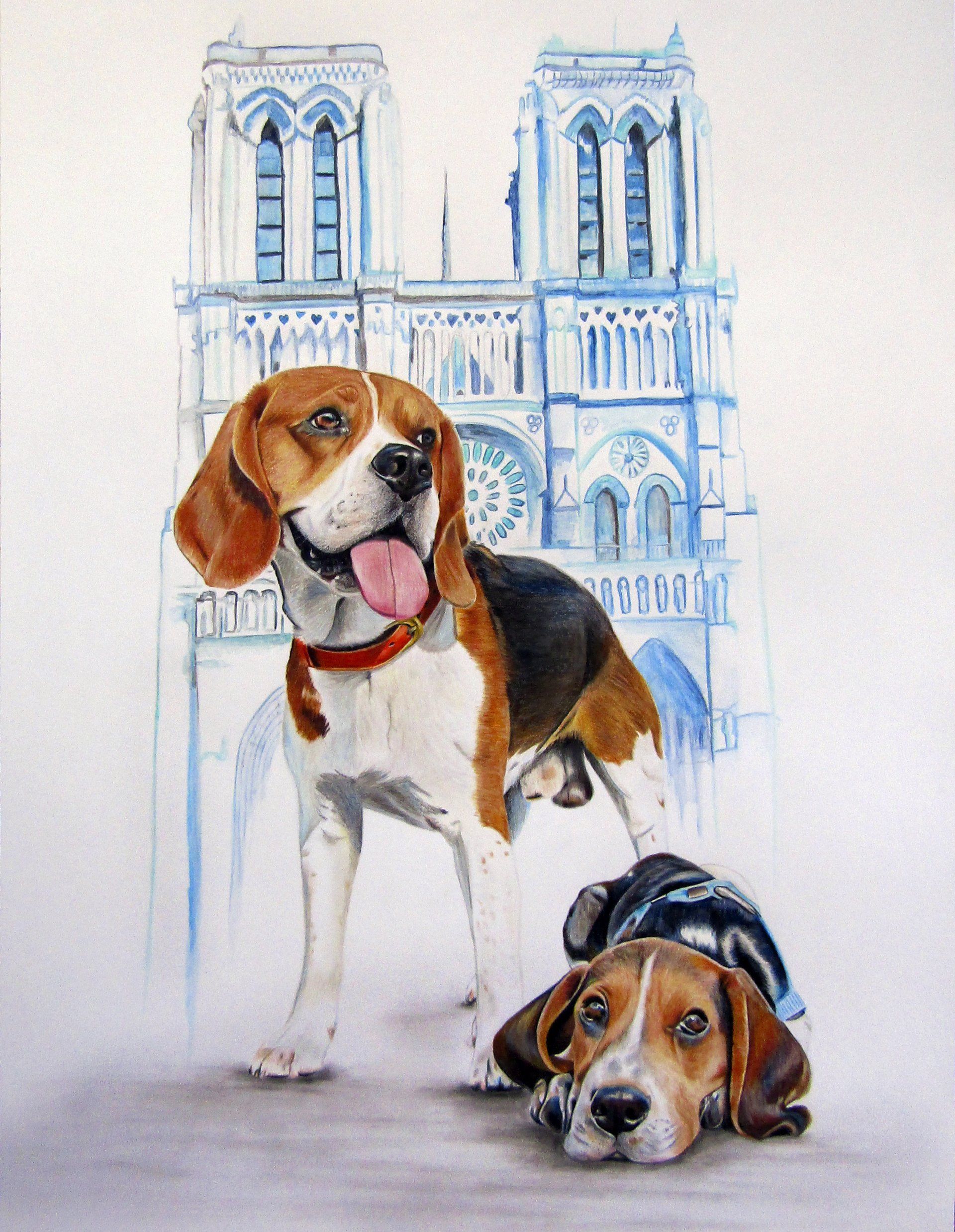 Beagles