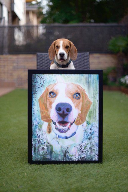 Dylan the Crazy Beagle Dylan The Beagle