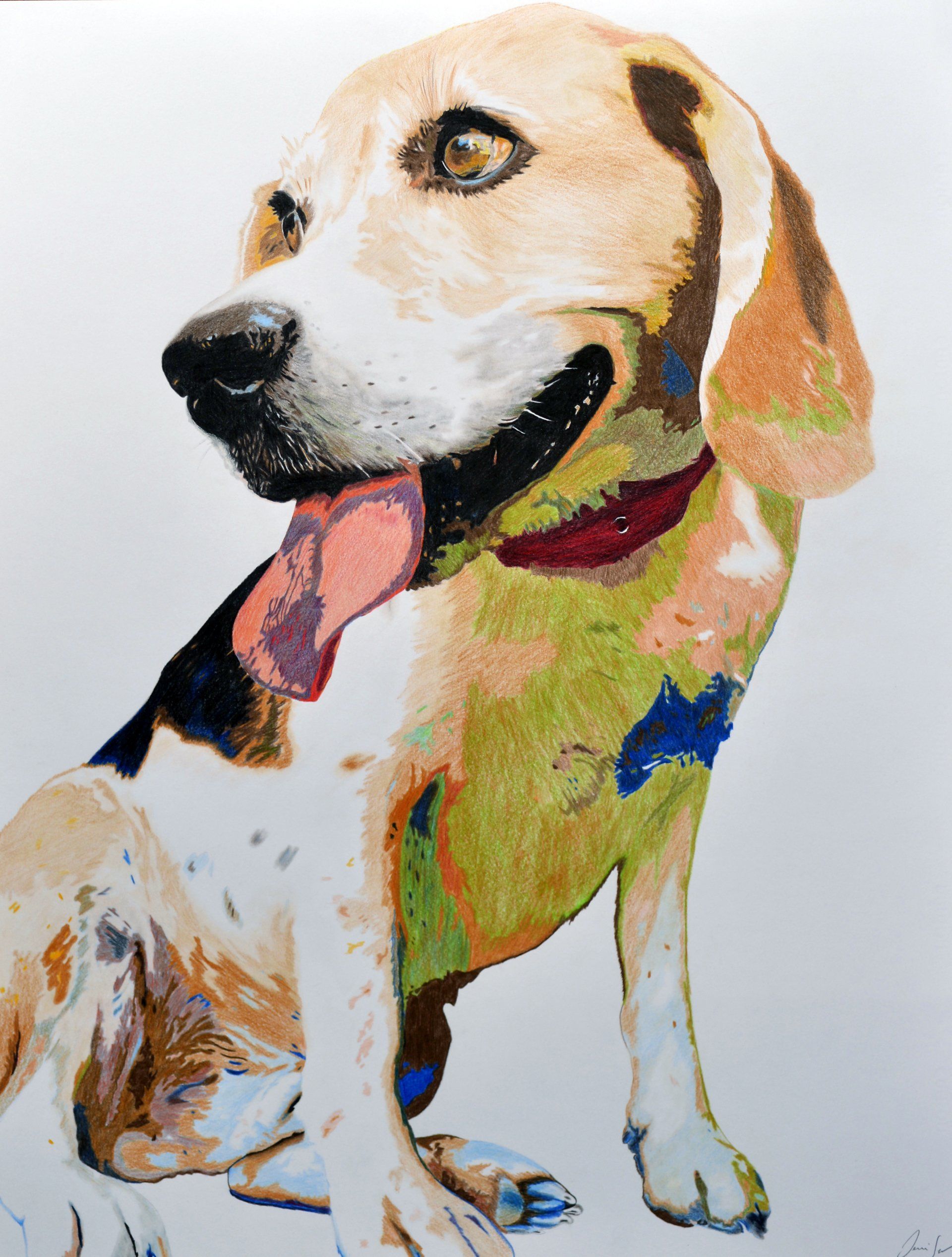 Beagle