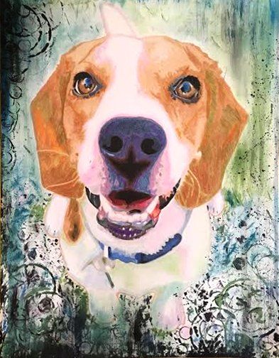 Dylan The Crazy Beagle Dylan The Beagle