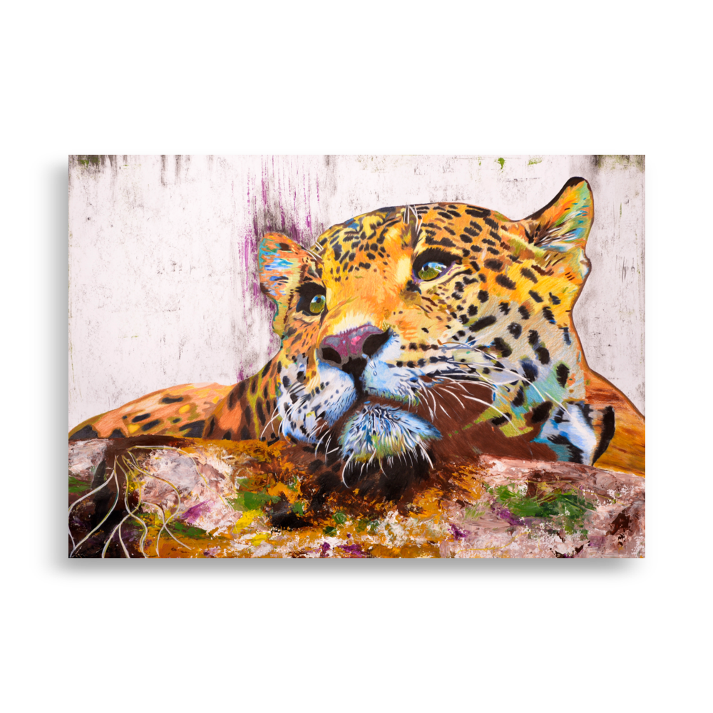 Retrato de Jaguar Jaguar