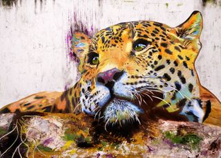 Galería de Animales