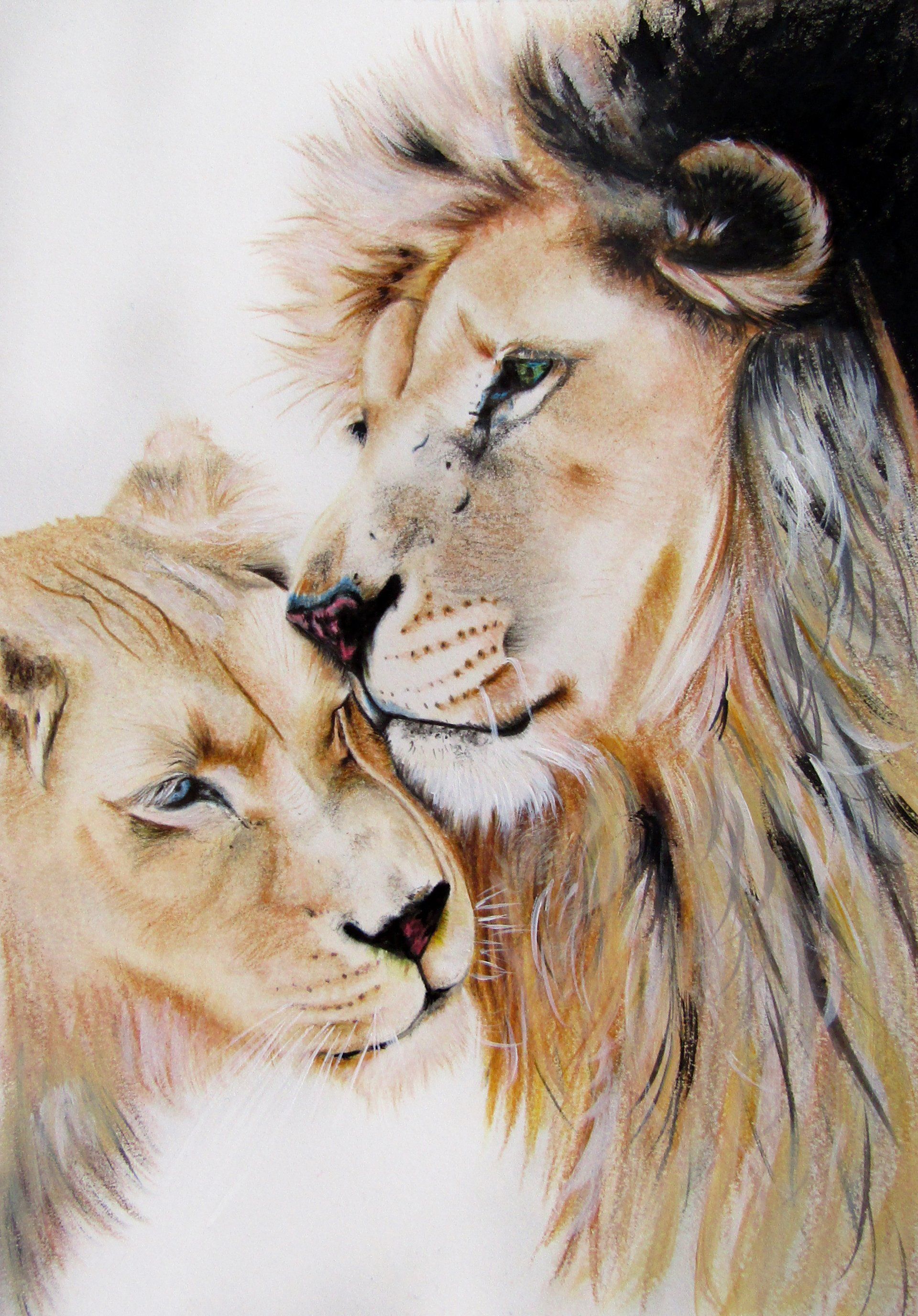 Leones