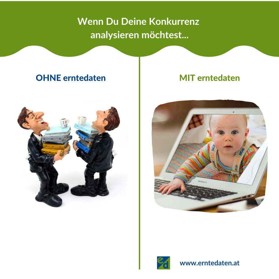 Konkurrenzanalyse Tool