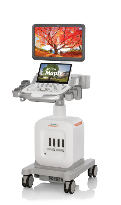 Ultraschallgerät Siemens ACUSON Maple