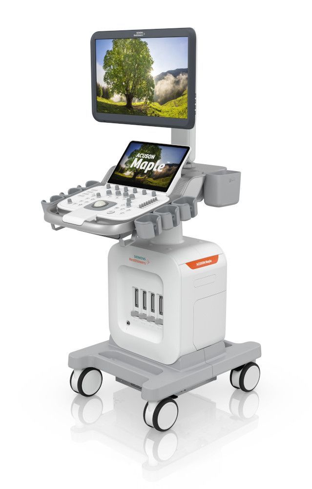 Ultraschallgerät Siemens ACUSON Maple