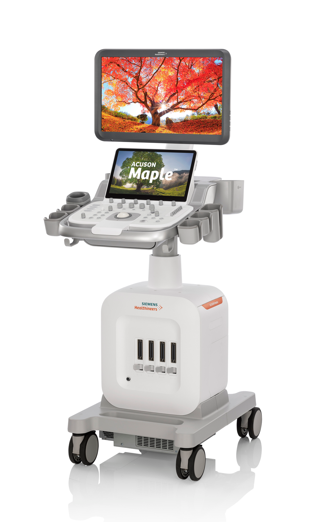 Siemens Acuson Maple Siemens Acuson Maple